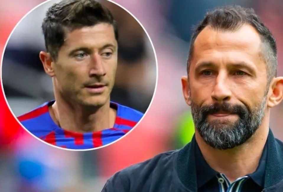 术和队友 术和队友