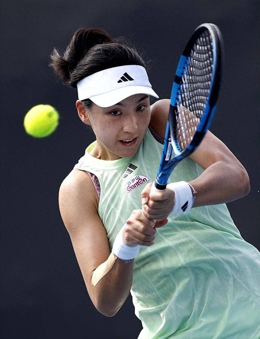 的法宝之一 的法宝之一