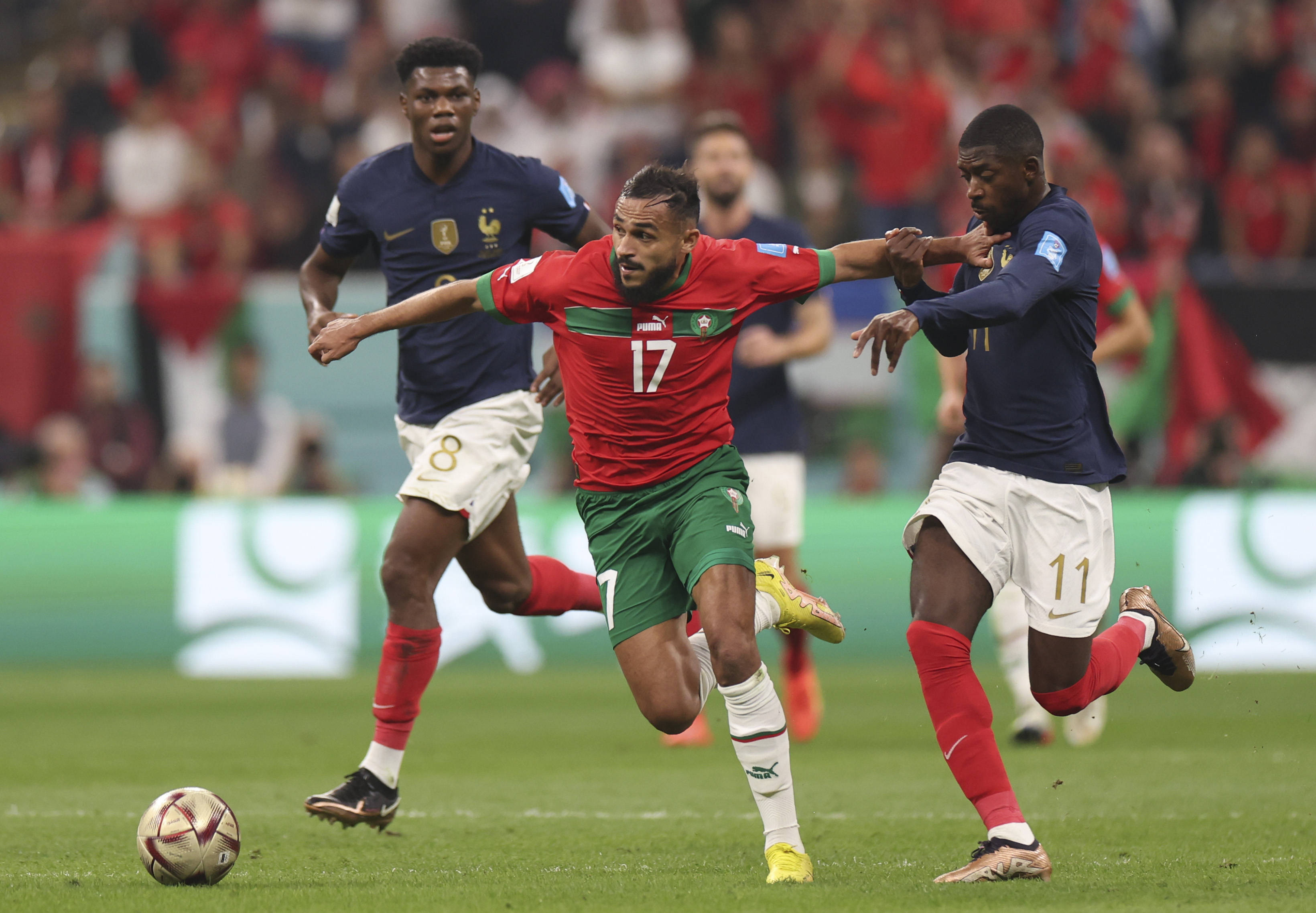 的基础上加 的基础上加